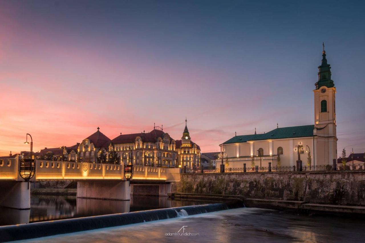 Cristi'S Rooms - Pensiune Oradea Dış mekan fotoğraf