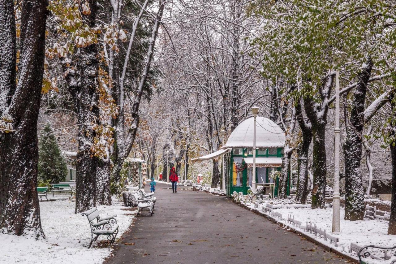 Cristi'S Rooms - Pensiune Oradea Dış mekan fotoğraf